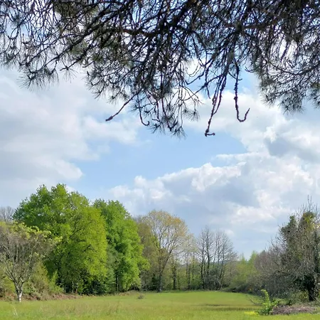 Domaine Le Verger Kleinschalige Met Groot Zwembad En Buitenkeuken Saint-Estephe (Dordogne)