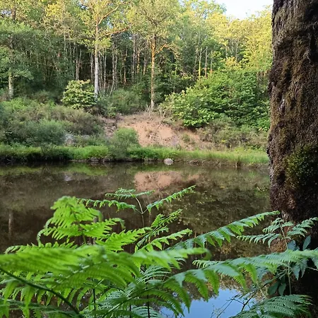 Domaine Le Verger Kleinschalige Met Groot Zwembad En Buitenkeuken Panzió 3*