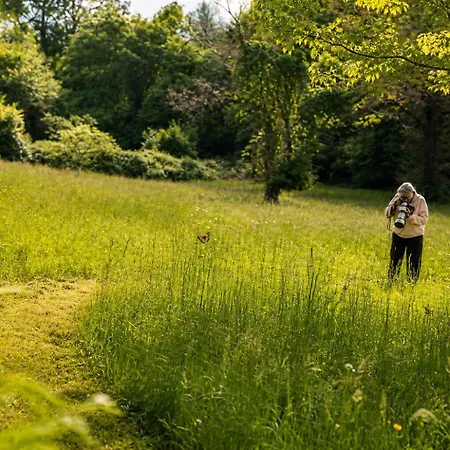 Domaine Le Verger Kleinschalige Met Groot Zwembad En Buitenkeuken Bed & Breakfast Saint-Estephe (Dordogne)