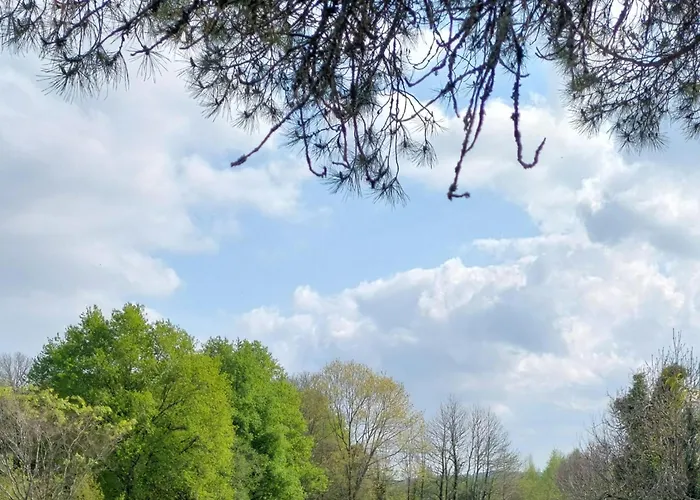 Domaine Le Verger Kleinschalige B&B Met Groot Zwembad En Buitenkeuken Saint-Estephe (Dordogne)